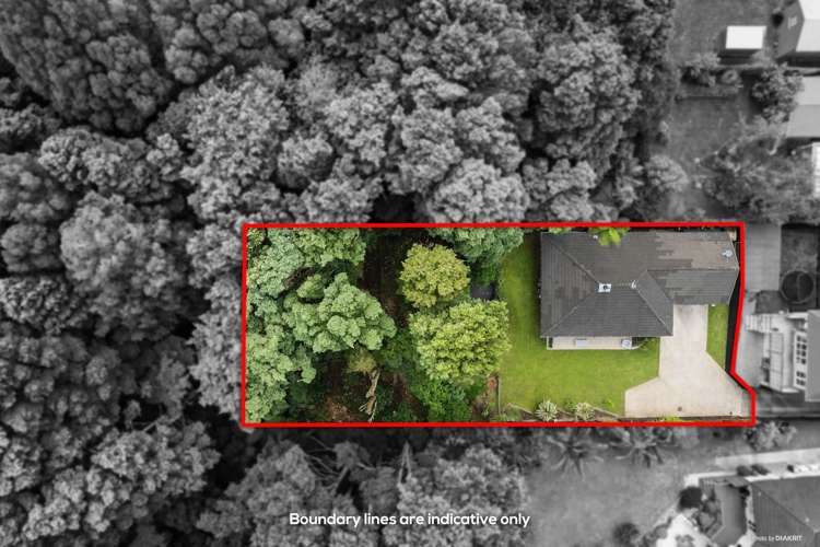 28b Carlton Road Pukekohe_12