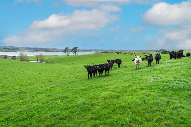 Lot 2 Neems Road Matakohe_22