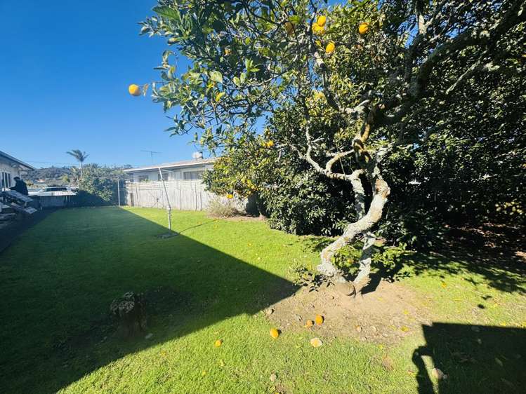 2 Bryce Street Whitianga_18