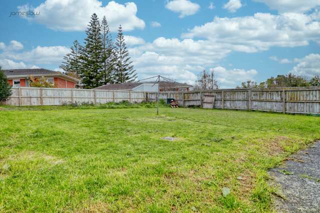 50 Webster Avenue Mount Roskill_2