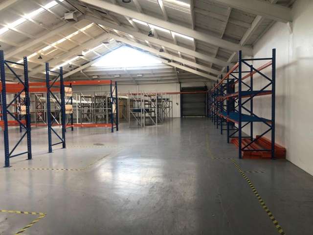 105 Wordsworth Street Sydenham_4