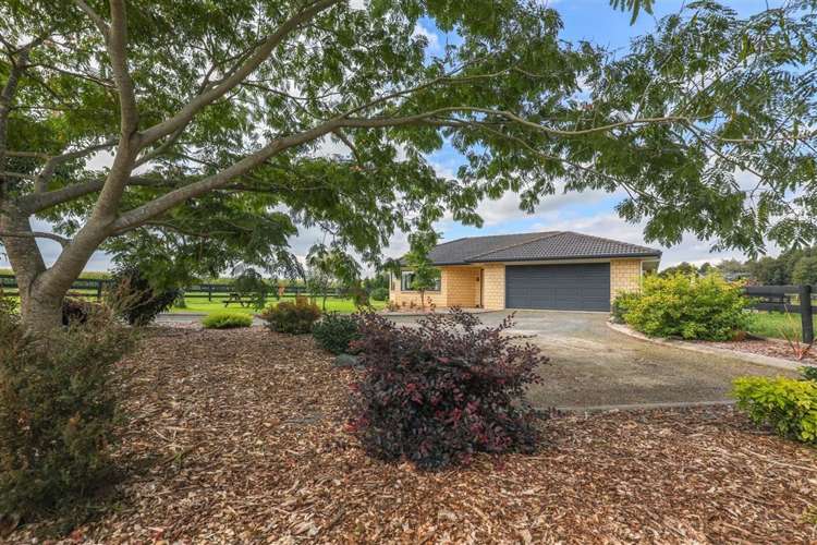 38 Blackett Road Whatawhata_16