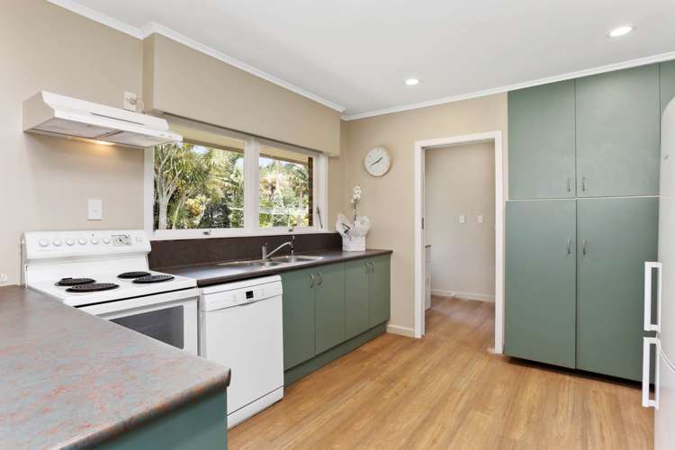 49 Scenic Drive Hillpark_9