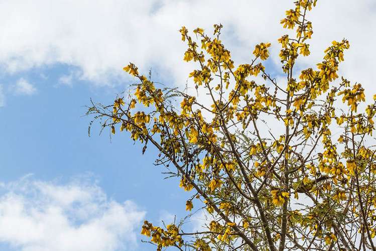 69 Oxley Crescent Broad Bay_18