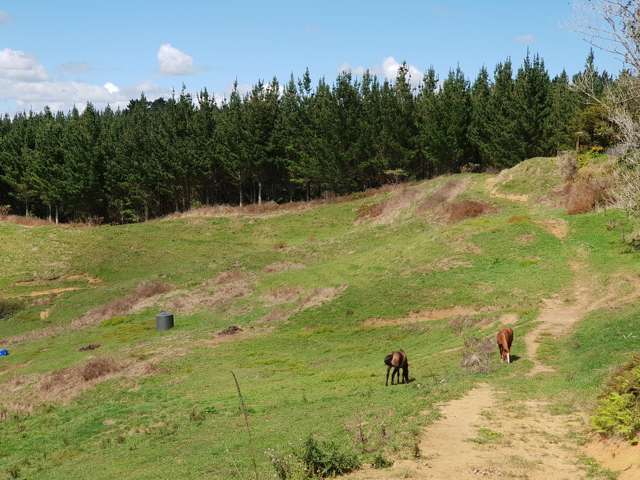 539 Tapuae Road Otorohanga_3