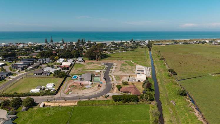 Citrus Avenue Waihi Beach_22