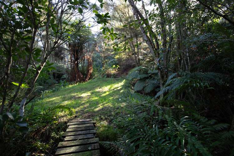 99 Otonga Valley Road Raglan_29