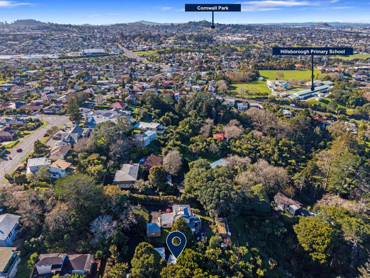 214A Hillsborough Road Hillsborough_22