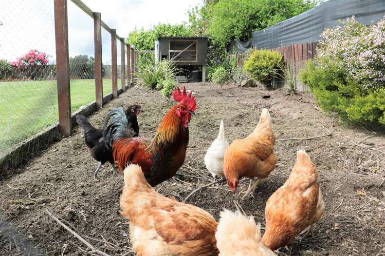 52 Rosebrook Road Claremont_19