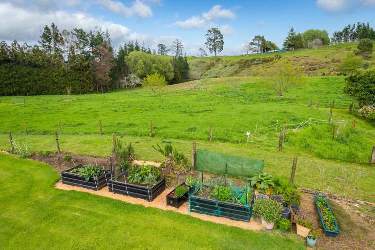 140H Tebbutt Road Lower Kaimai_28