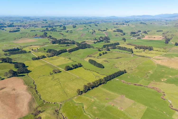 100 Inglis Road Pahiatua_5