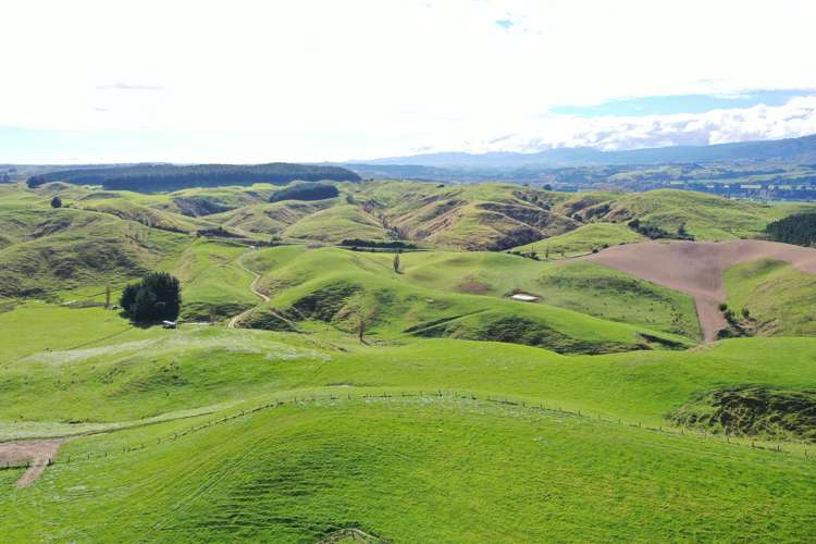 810 Spur Road Ashhurst_5