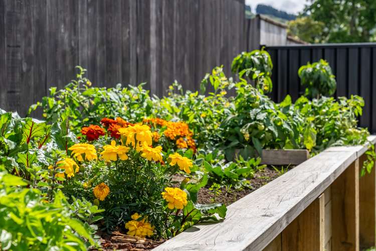 11 Rewarewa Way Timberlea_15