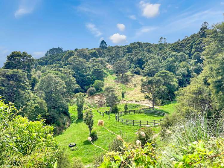 791B White Pine Bush Road Awakeri_8