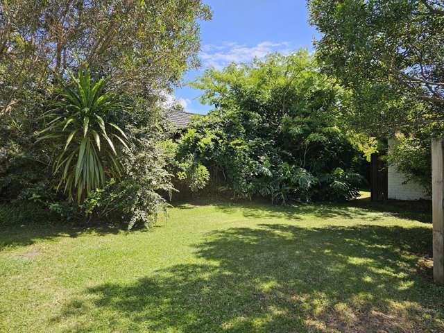 67 John Downs Drive Browns Bay_3