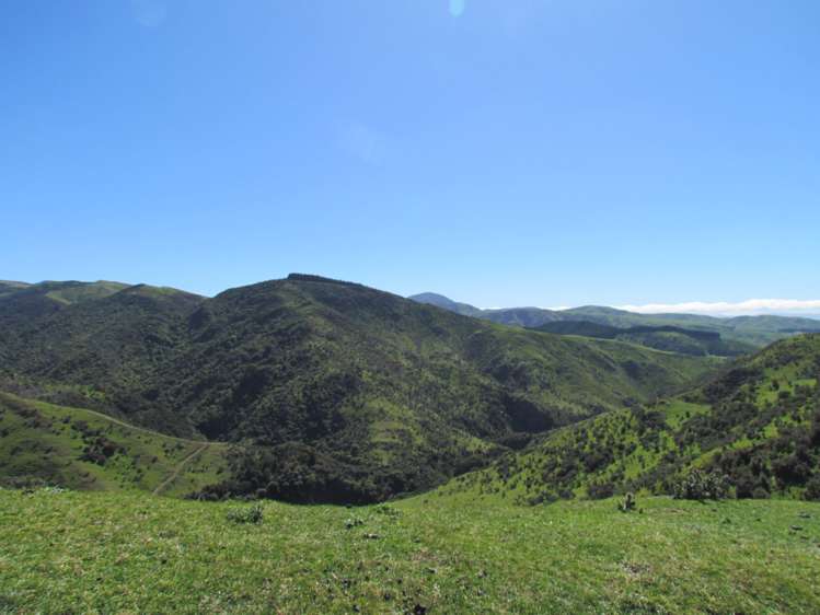 139 Clay Creek Road Ruakokoputuna_15