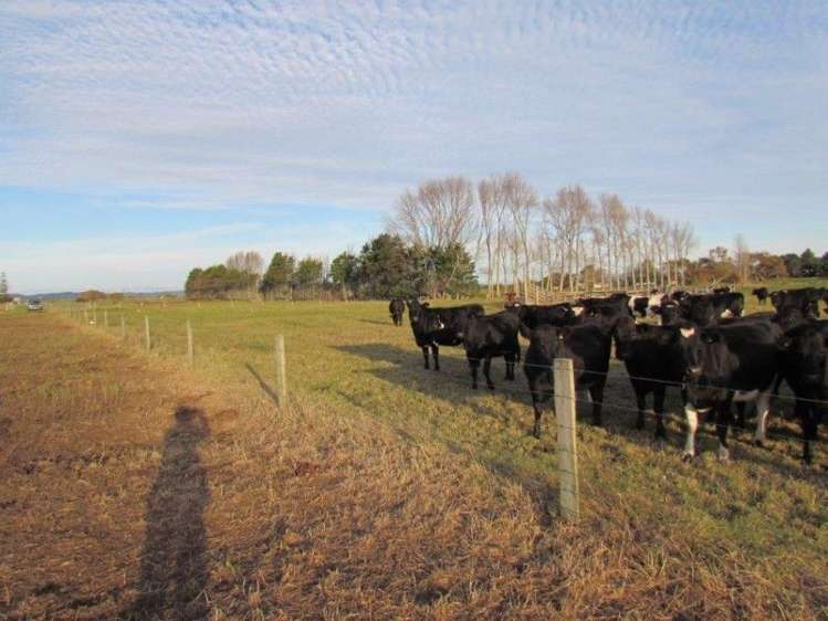 95 Thornton Beach Road Thornton_1