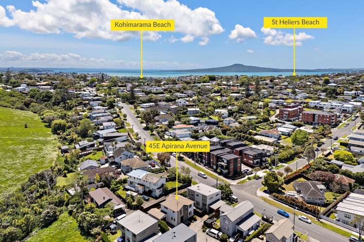 45E Apirana Avenue Glen Innes_16