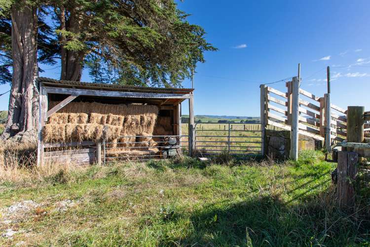 126 Tutaekara Road Pahiatua_23