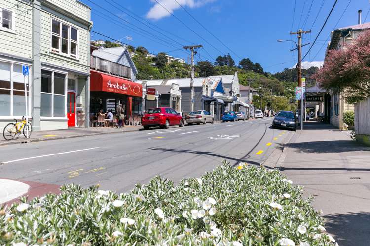 8/2 Ohiro Road Aro Valley_13