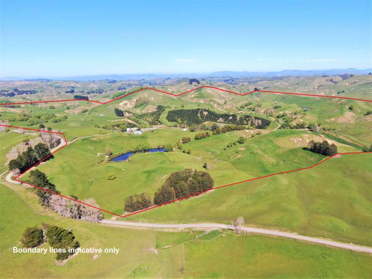 338 Te Awa Road Hawkes Bay_0
