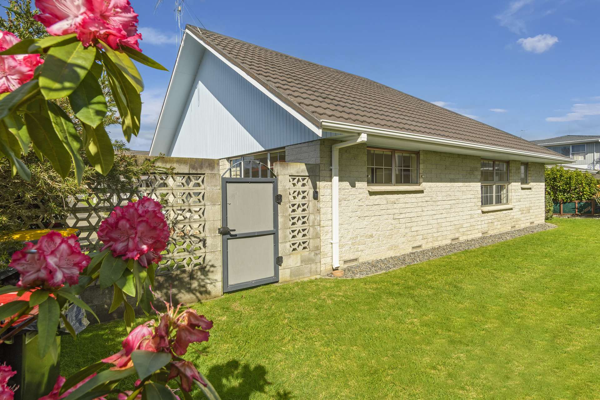 33C Norris Street Tauranga_0