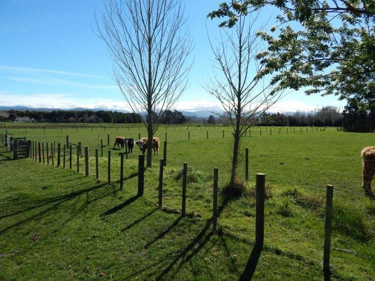 143 Riversdale Road Carterton_1