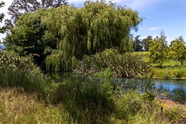 174 Odwyers Road Rapaura_6