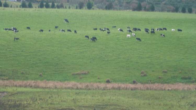 44 Rodgers Road Catlins Surrounds_42