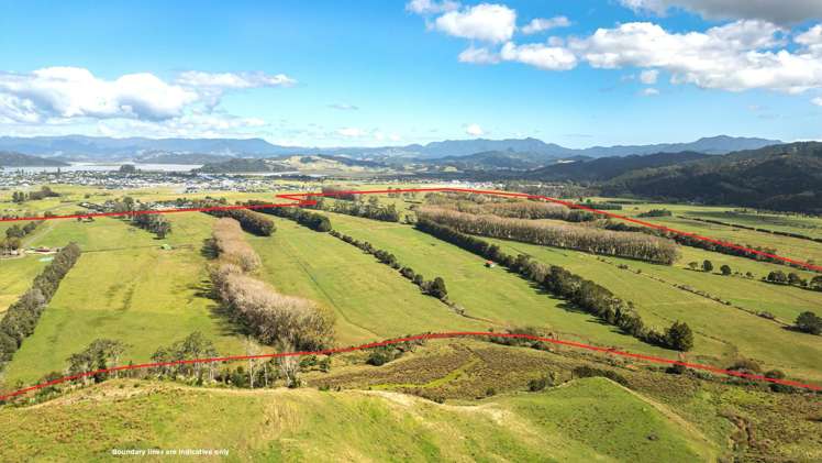 55 and 92 Racecourse Road Whitianga_1