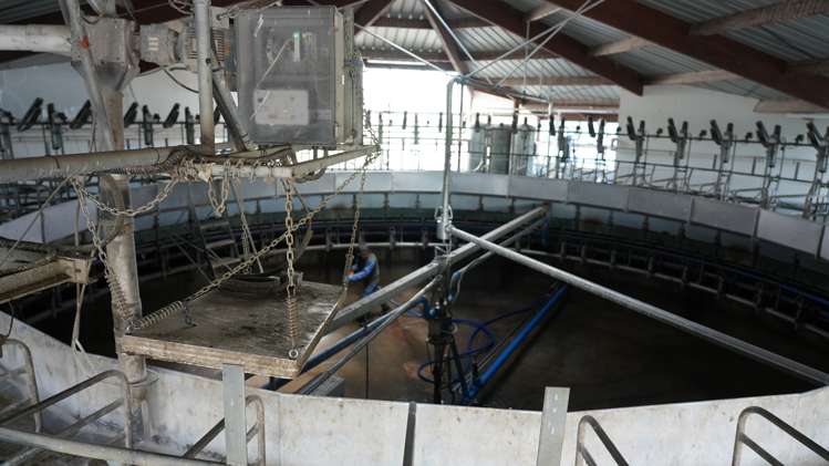 78 Cemetery Road Culverden_20