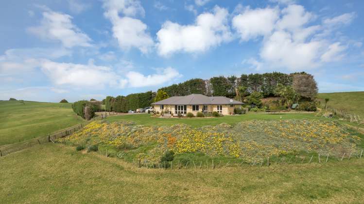 359 Arapohue Road Dargaville Surrounds_9