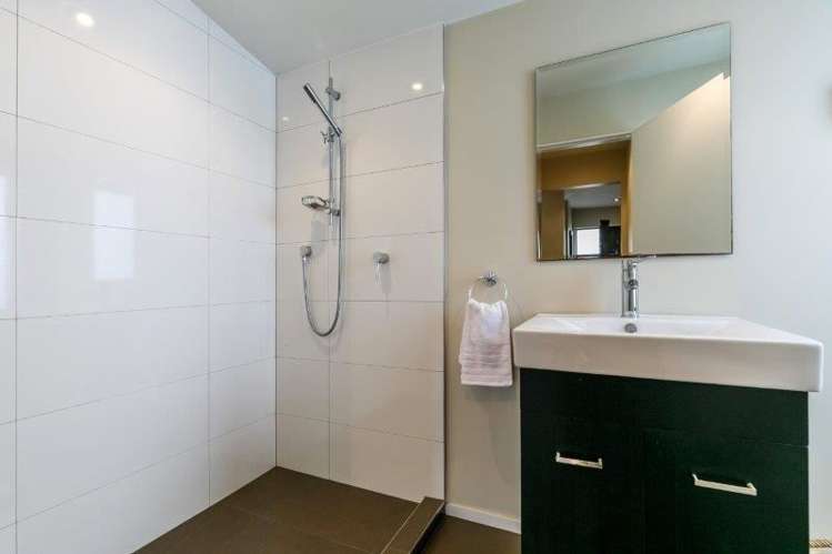 50b Konini Road Greenlane_10