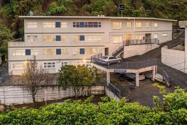 Aro Valley Apartment with Car Pad