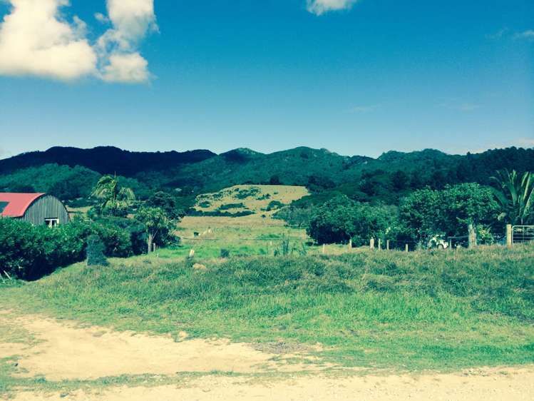 499 Medland Road Great Barrier Island (Aotea Island)_12