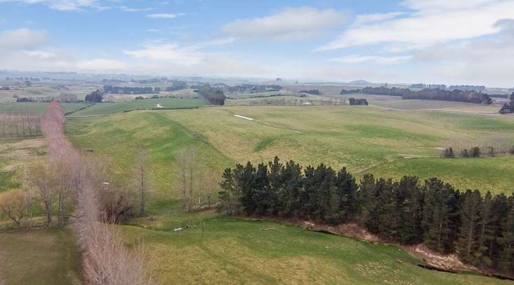 81 Waimotu Road Maheno_11