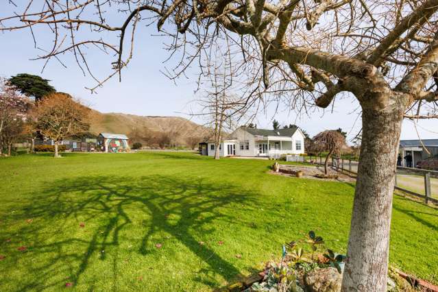 185 Albert Road Tokomaru_3