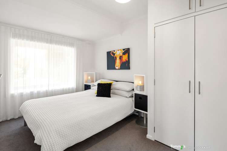 8 Hay Street Oriental Bay_17