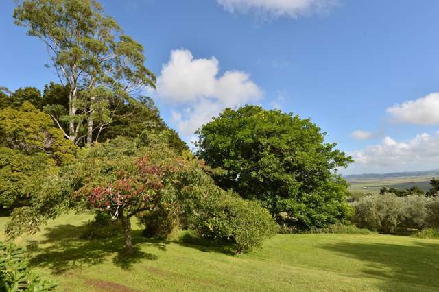 380 Crane Road Kauri_3