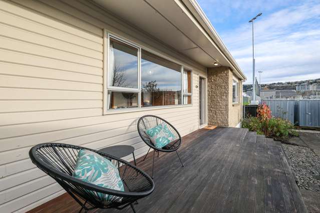 41b Kirkcaldy Street South Dunedin_2