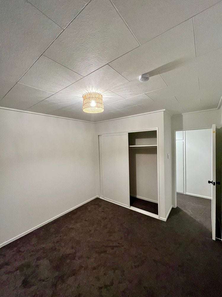 58 Albert Street Saint Clair_8