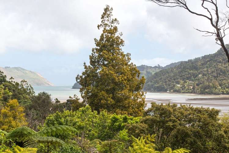 1212a Huia Road Huia_22