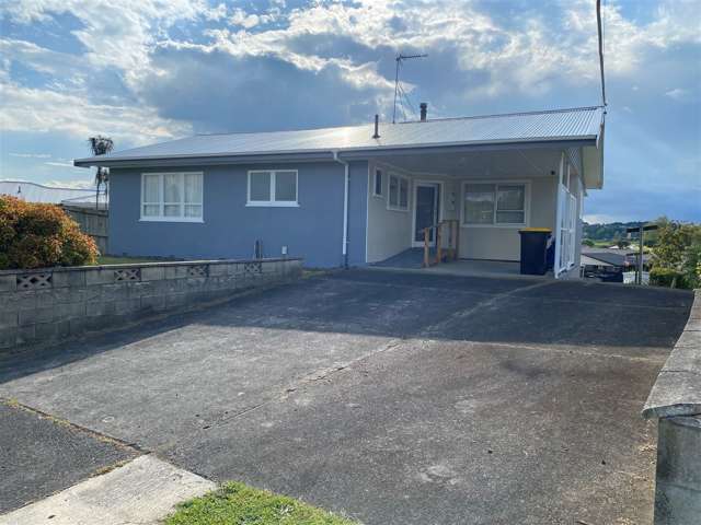 1195 Te Rahu Road Te Awamutu_1