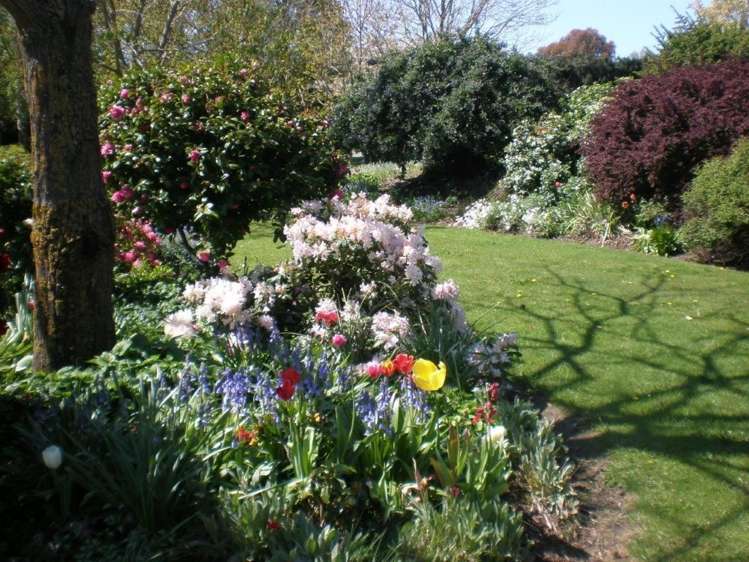 16 Max Wallace Drive Ashley_8