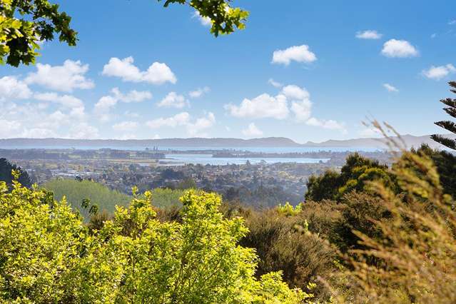 101 Awanui Rise Ardmore_2