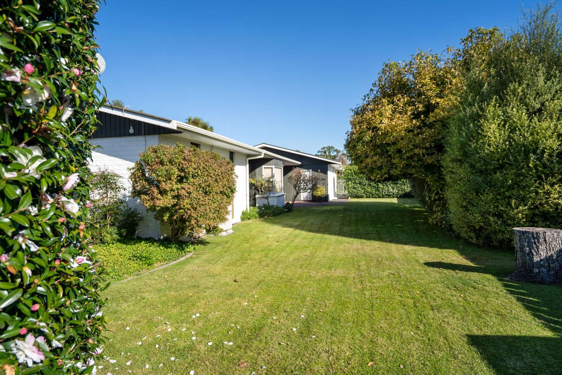 6 Woodstock Crescent Cambridge_0
