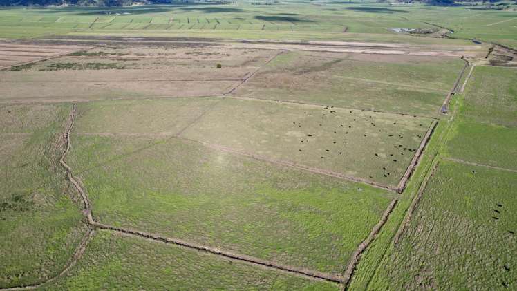 224 Rushbrook Road Ruatangata_5