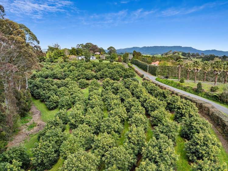 24B Pahoia Road Whakamarama_39