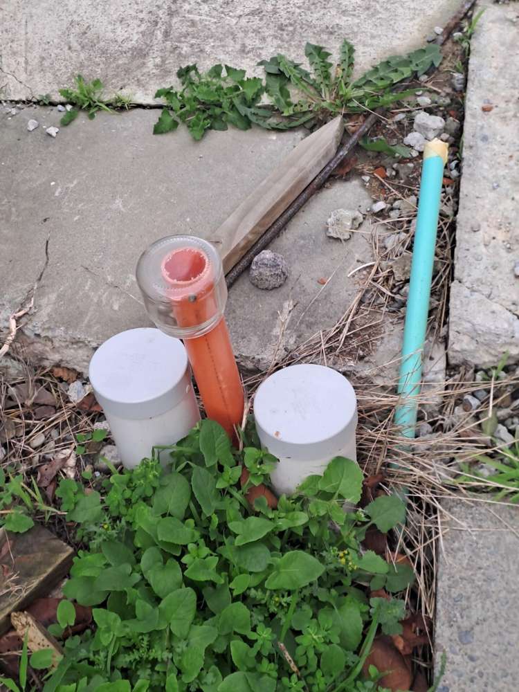 236a Tremaine Avenue Highbury_5