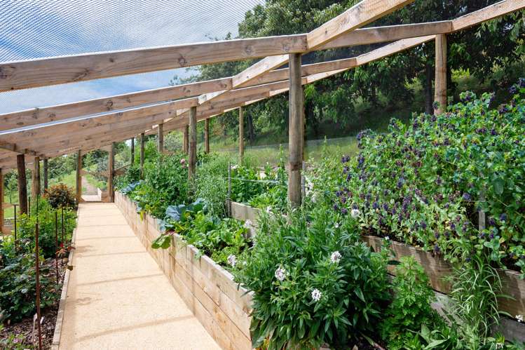 35 Red Hills Road Havelock North_27